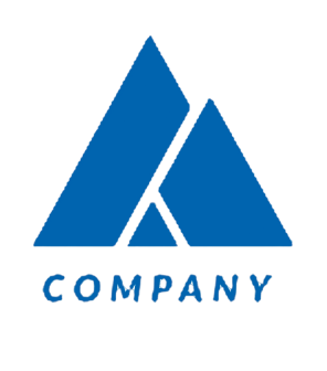 Company 4